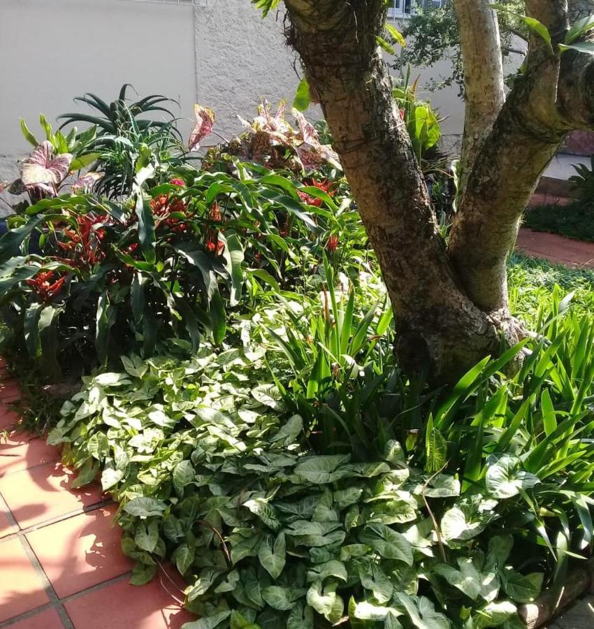 Hostel Nossa Casa Florianopolis Exterior photo